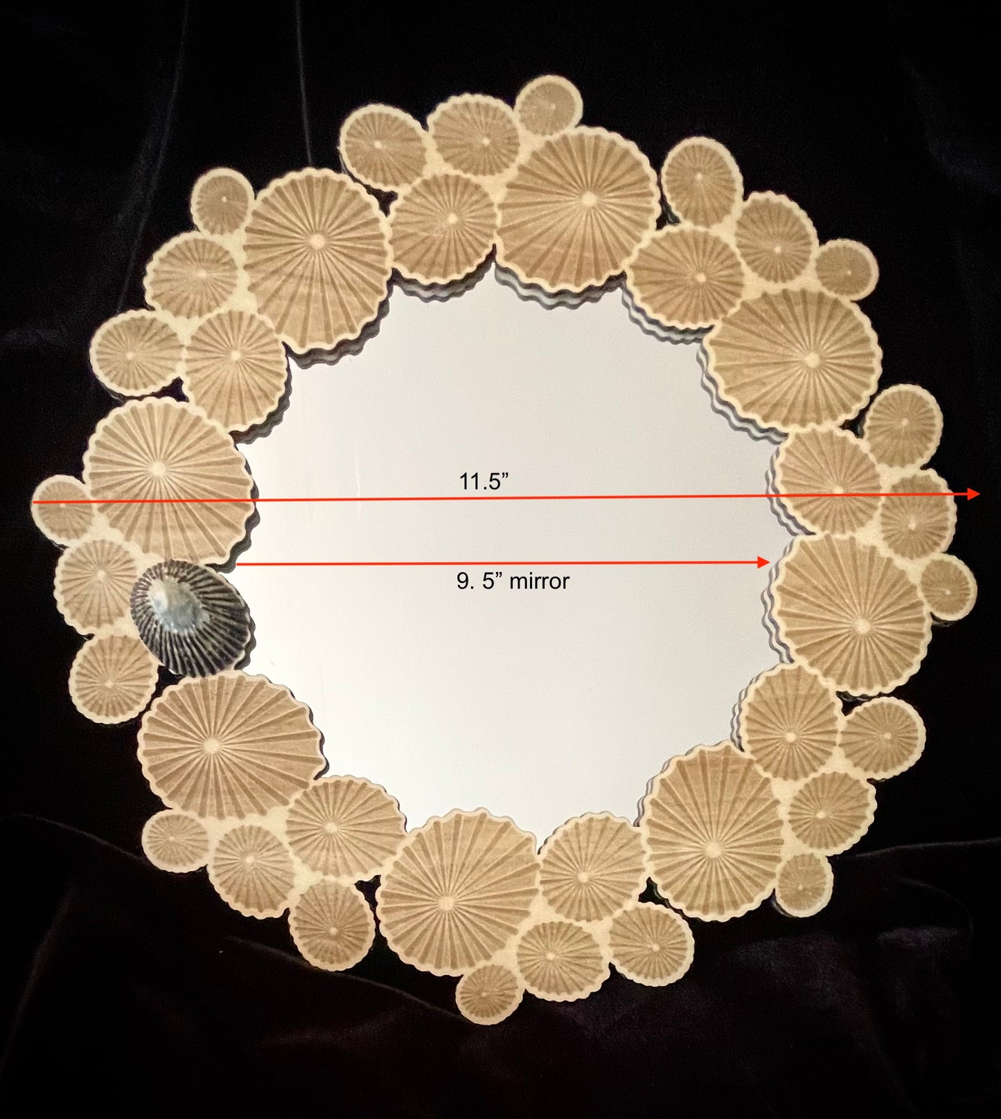 ʻOpihi Mirror